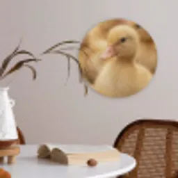 Pijltje - Eend - Natuur - Geel Akoestische PET Vilt - Rond klein -sfeer3
