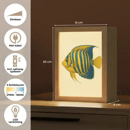 Felgeel - Vis - Strepen - Vinnen Light Box met kabel (Tafellamp) klein -USP_NL