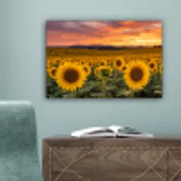 Zonnebloemen - Heuvellandschap - Geel canvas 2cm klein -sfeer4