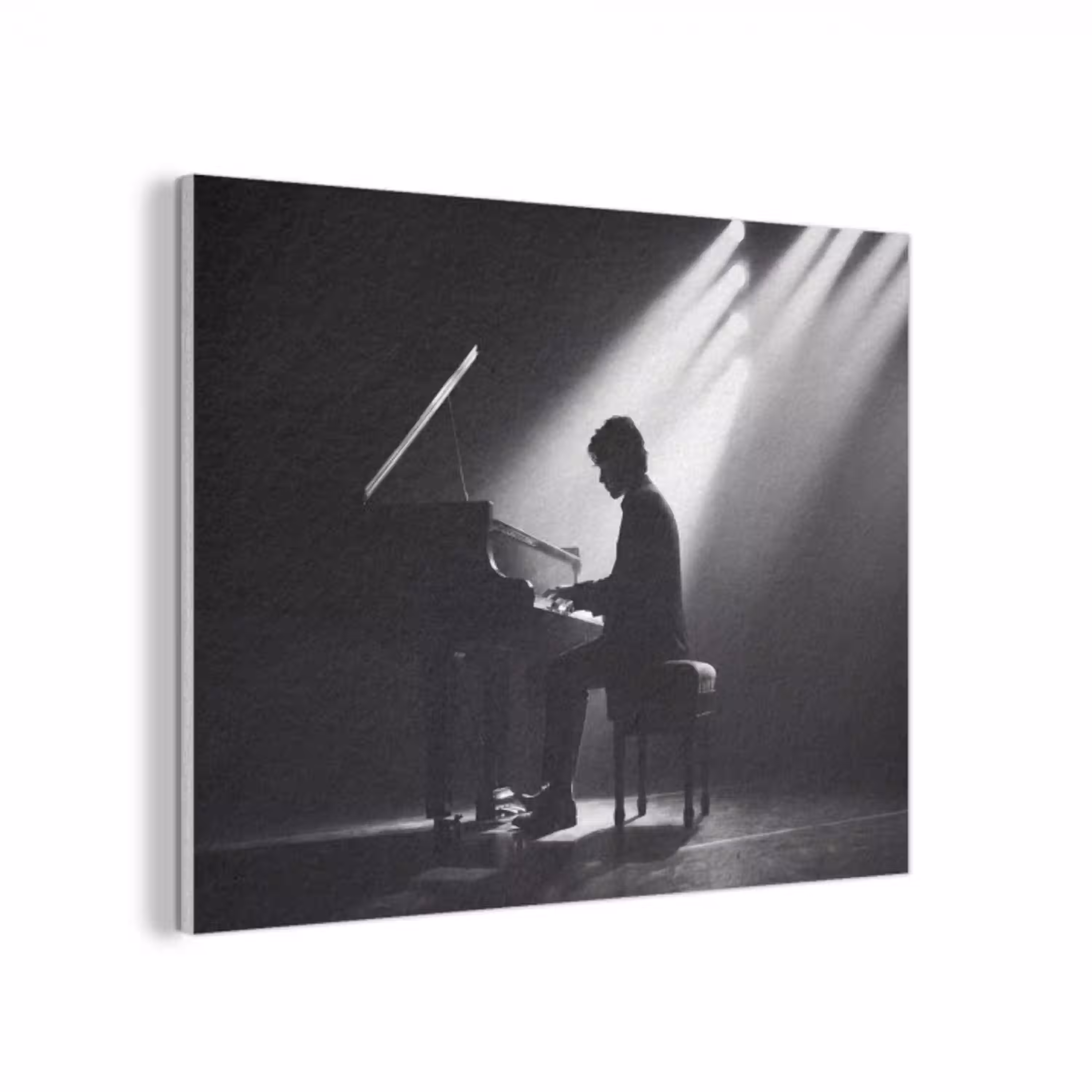 Persoon - Piano - Muziek - Zwart-wit - Podium PET vilt klein -3d