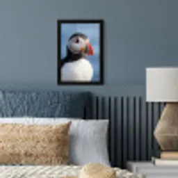 Papegaaiduiker - Portret - Natuur fotolijst zwart zonder passe partout klein -sfeer3