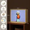 Papegaai - Koksmuts - Vogel - Leuk Light Box met batterij (Wandlamp) middel -USP_websiteoverzichtNL