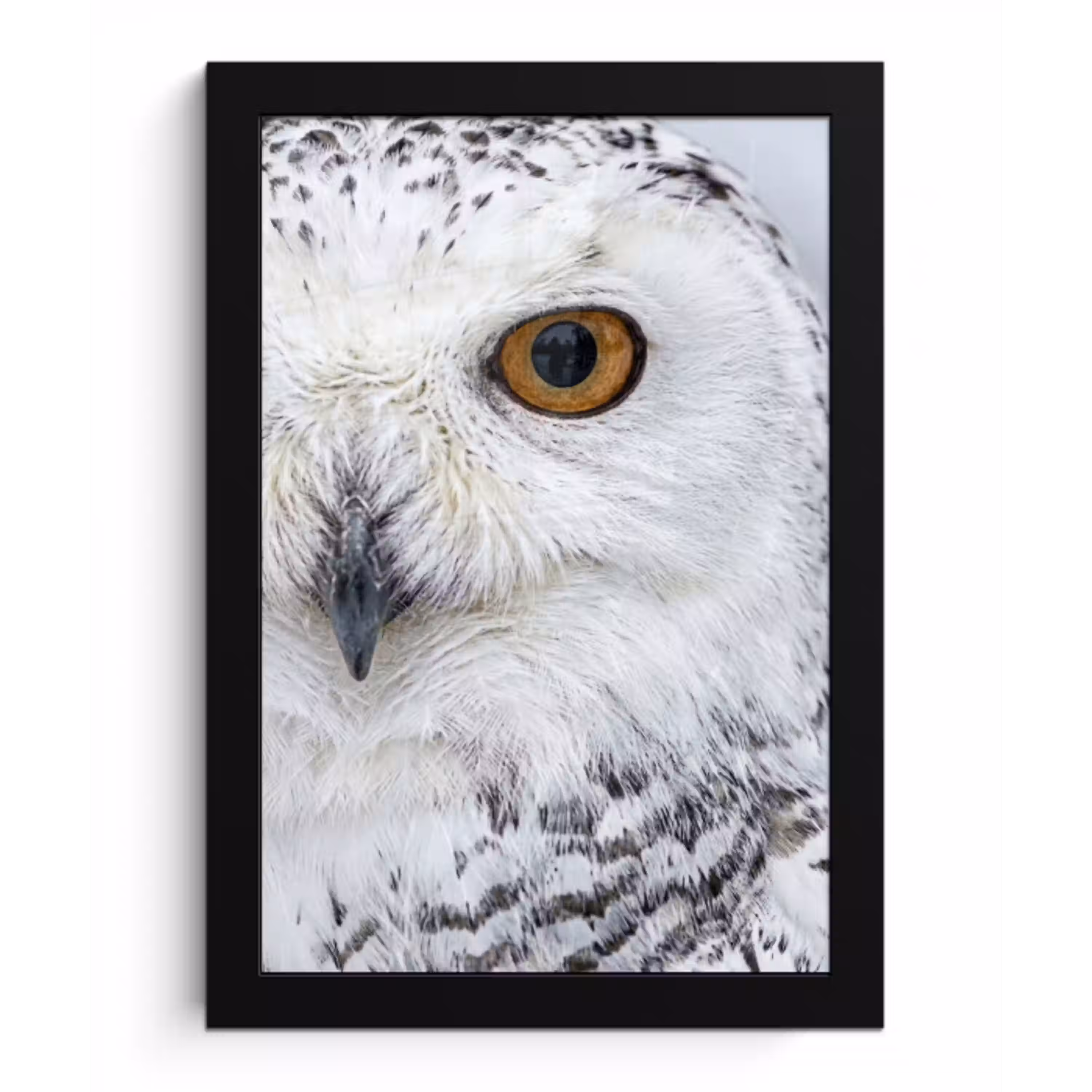 Sneeuwuil - Oog - Wildlife - Wit fotolijst zwart zonder passe partout klein -3d