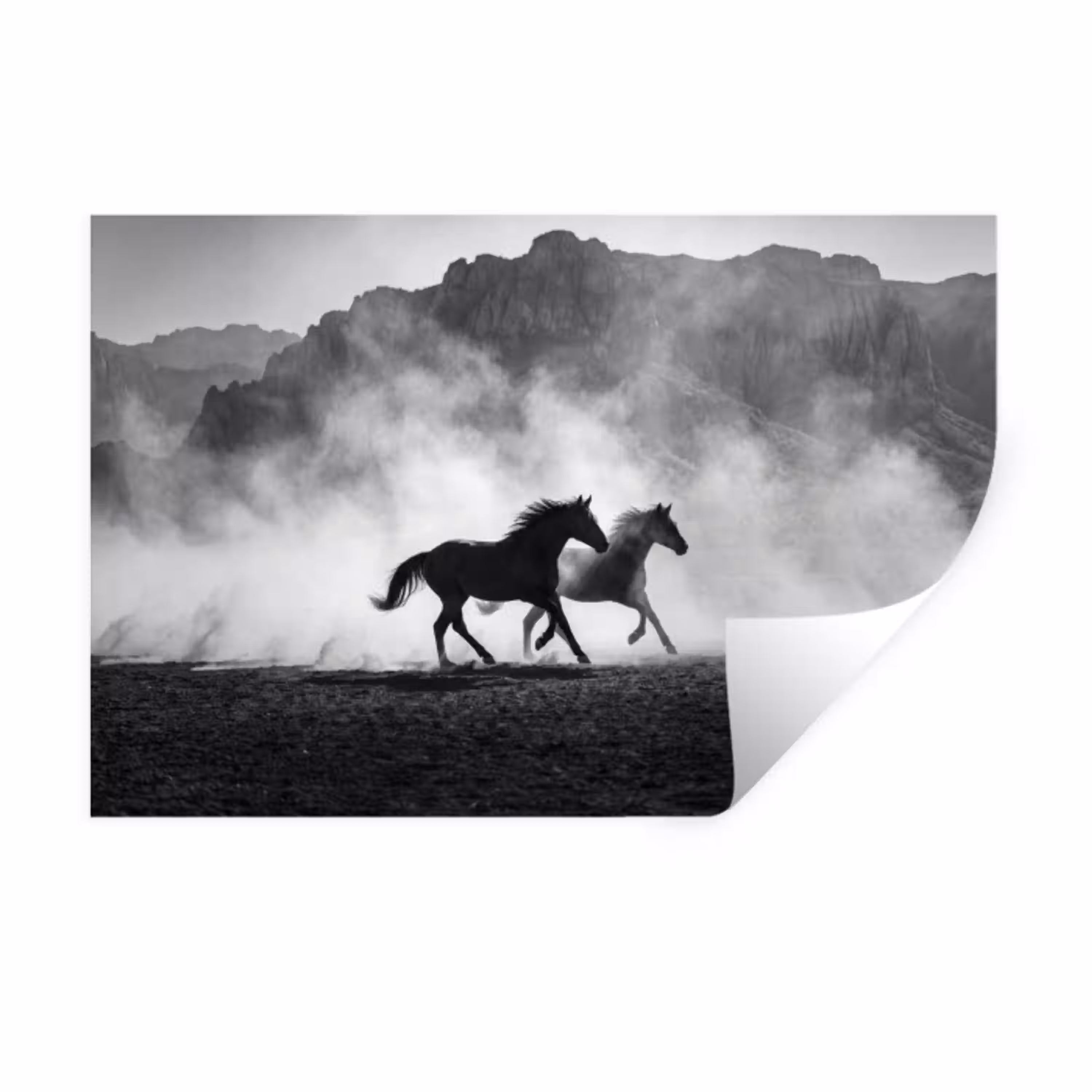 Paard - Ren - Stof - Zwart-wit - Dieren Muursticker klein -3d