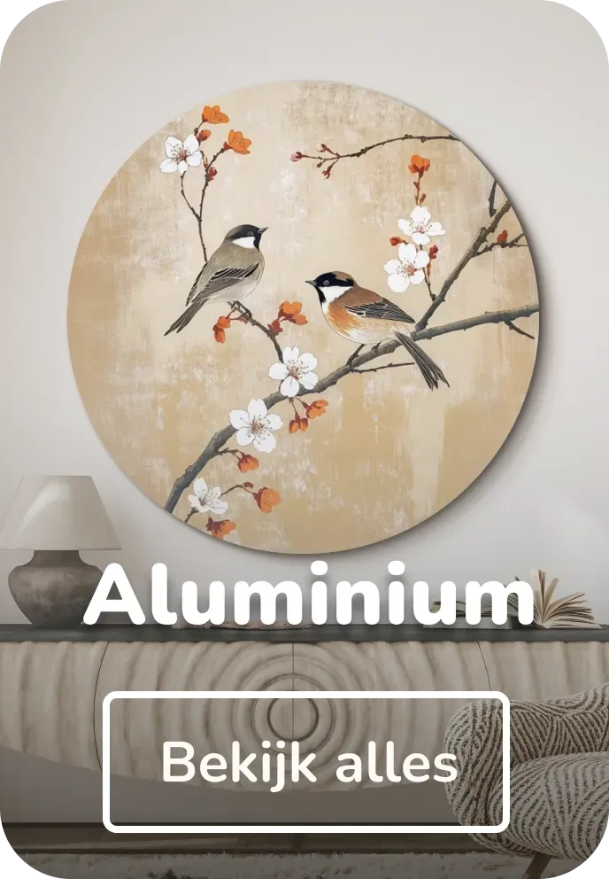 Aluminium muurcirkel