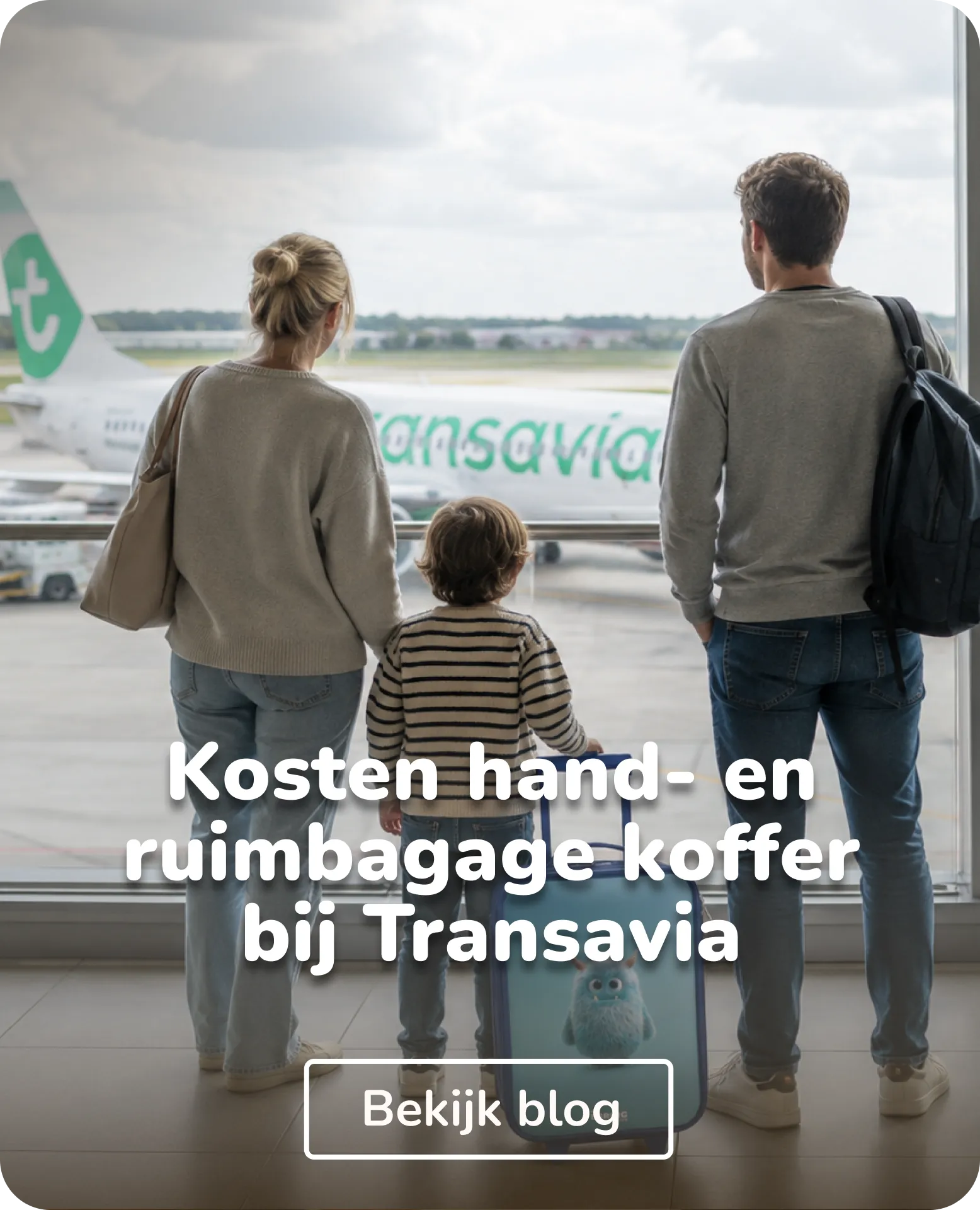 wat kost hand- of ruimbagage bij transavia