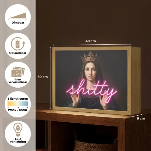 Ironisch - Tekst - Neon Light Box met batterij (Wandlamp) middel -USP_websiteoverzichtNL