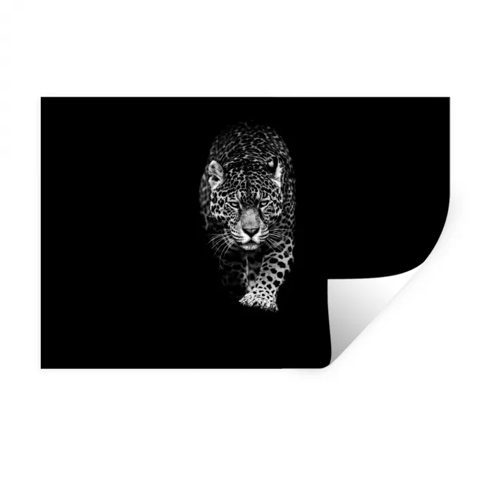 Dieren - Zwart - Luipaard - Wit - Wild Muursticker klein -3d
