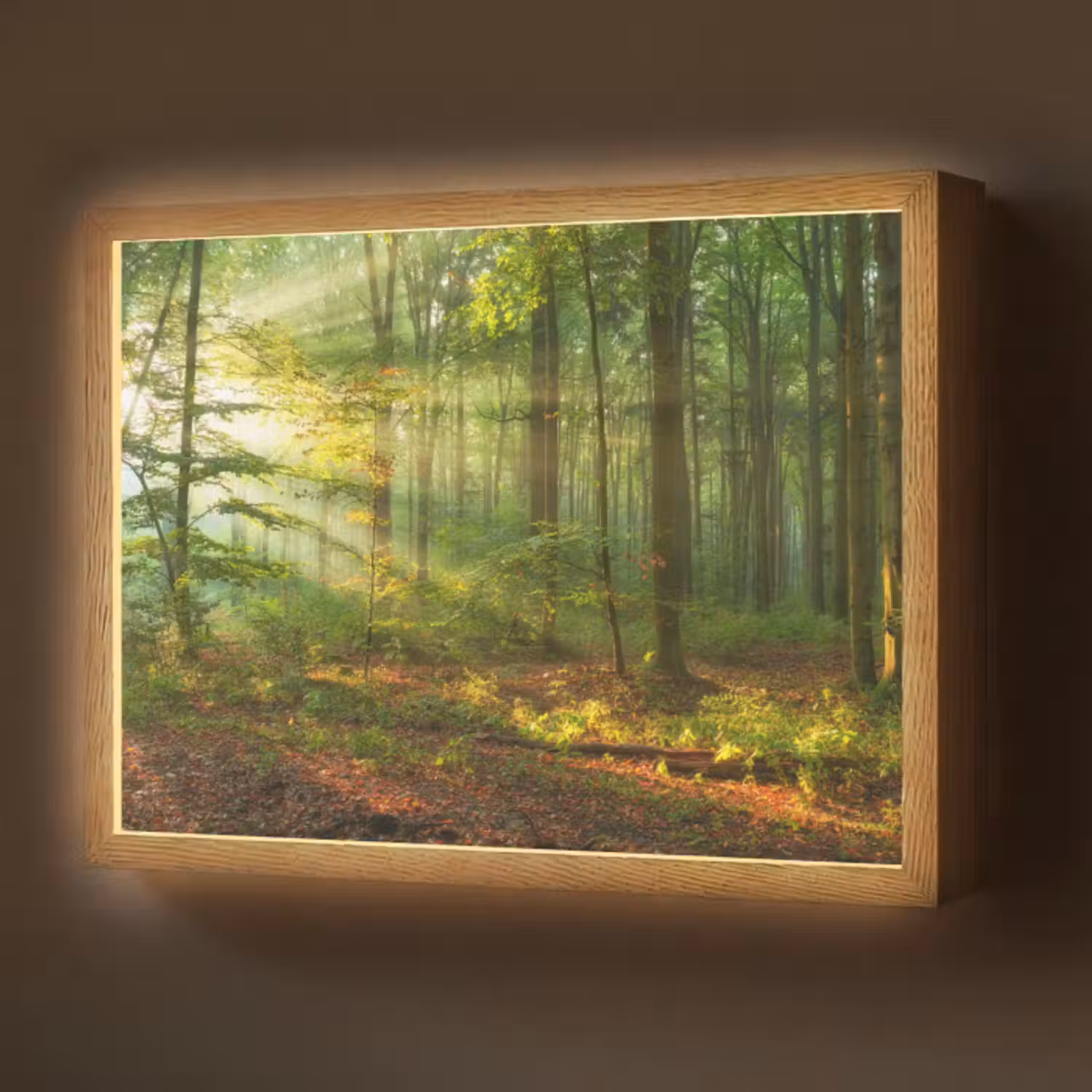 Lightbox - Wandlamp - Zon - Bos - Bomen - Natuur - Herfst