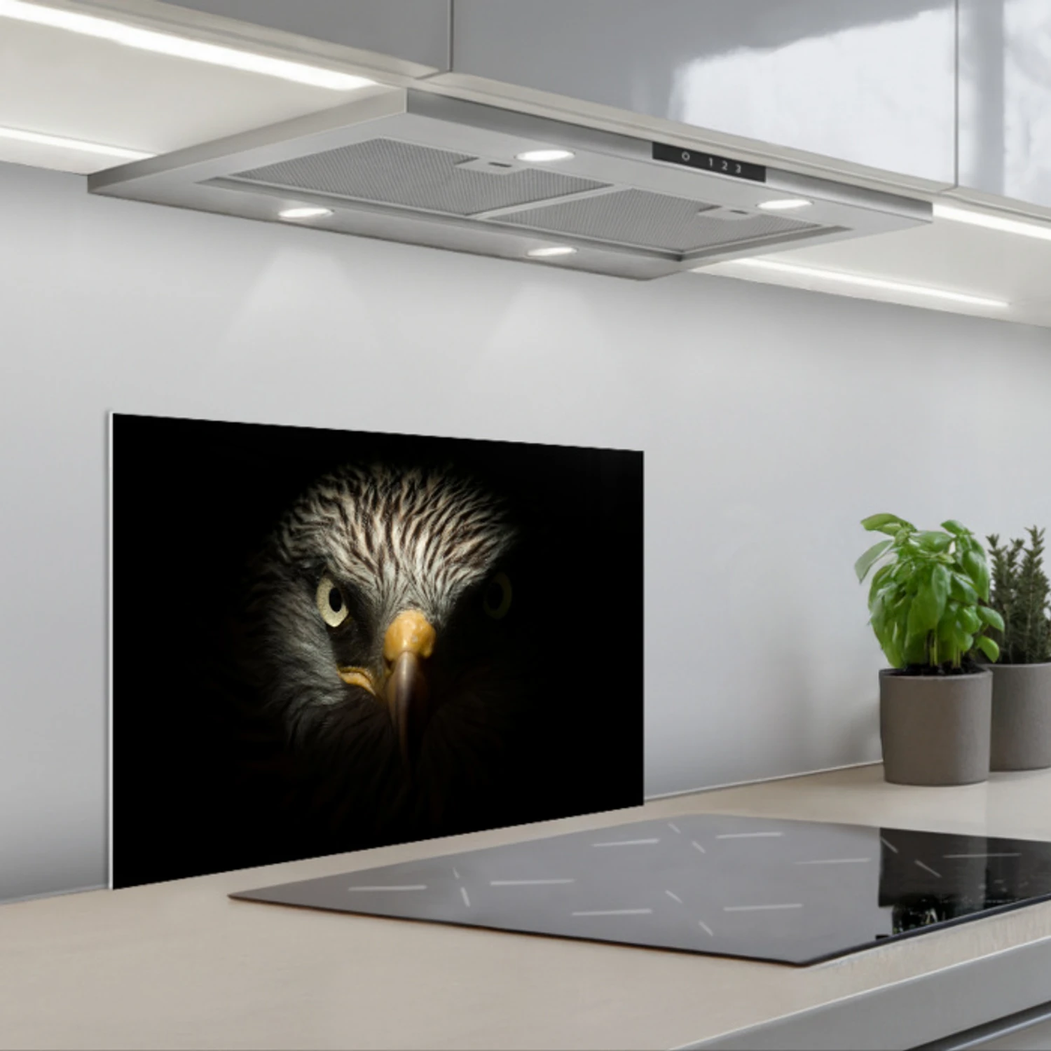 Vogel - Adelaar - Roofvogels - Oog - Snavel - Licht keuken achterwand spatscherm klein -3d_schuin