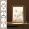 Bloemen - Wit - Zonlicht Light Box met kabel (Tafellamp) klein -USP_NL