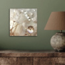 Natuur - Bloemen - Druppels - Regen aluminium wit klein -sfeer2