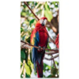 Papegaai - Vogels - Boom tuinposter los doek klein -3d