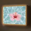 Hibiscus - Water - Roze Light Box met batterij (Wandlamp) middel -z3d_website