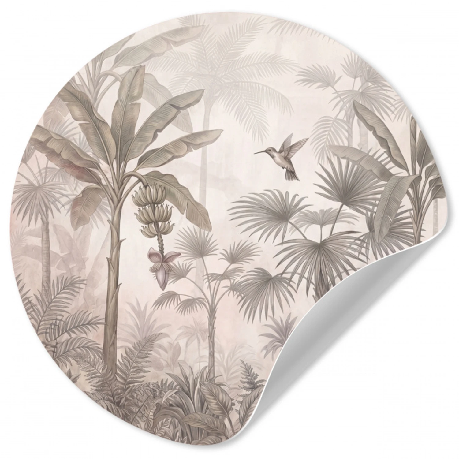 Jungle - Banenboom - Kolibrie - Beige Wandcirkel behangsticker klein -3d