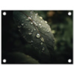 Blad - Groen - Nerven - Regendruppels tuinposter los doek klein -3d