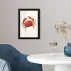 Krab - Felrood - Poten fotolijst zwart zonder passe partout klein -sfeer4