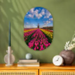 Tulpen - Holland - Molen - Kleurrijk Wandcirkel Ovaal Forex klein -sfeer2