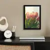 Tulpen - Roze - Zonnestralen fotolijst zwart zonder passe partout klein -sfeer1