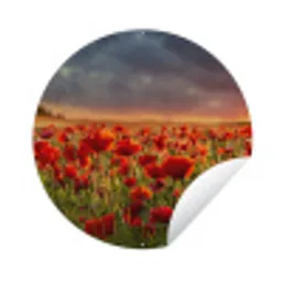 Zonsondergang - Klaprozen - Rood - Bloemen - Veld - Natuur Wandcirkel tuinposter met ringen klein -3d