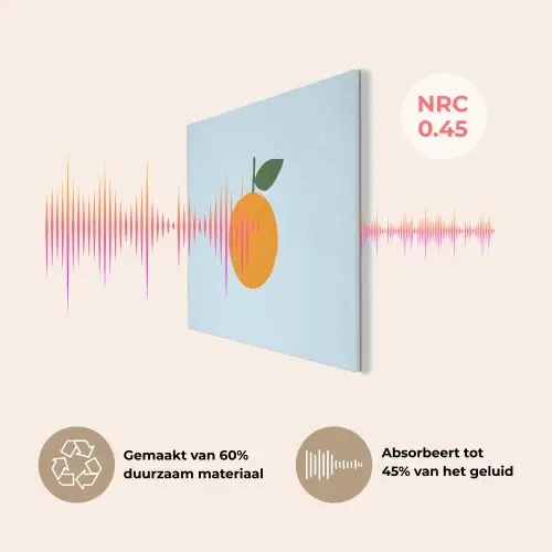 Fruit - Sinaasappel - Oranje PET vilt klein -USP_NL