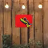 Kikker - Kleurrijk - Strepen - Ogen tuinposter los doek klein -sfeer1