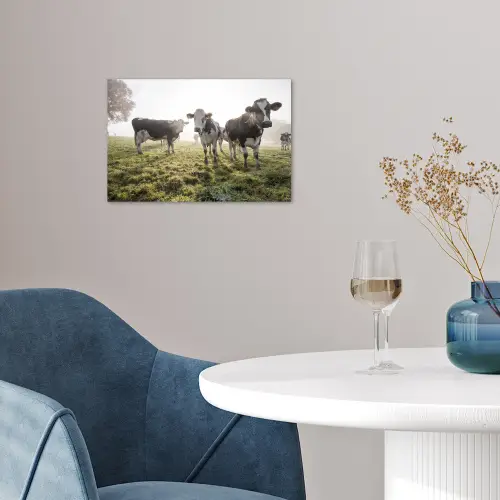 Koeien - Licht - Gras - Dieren poster papier klein -sfeer3