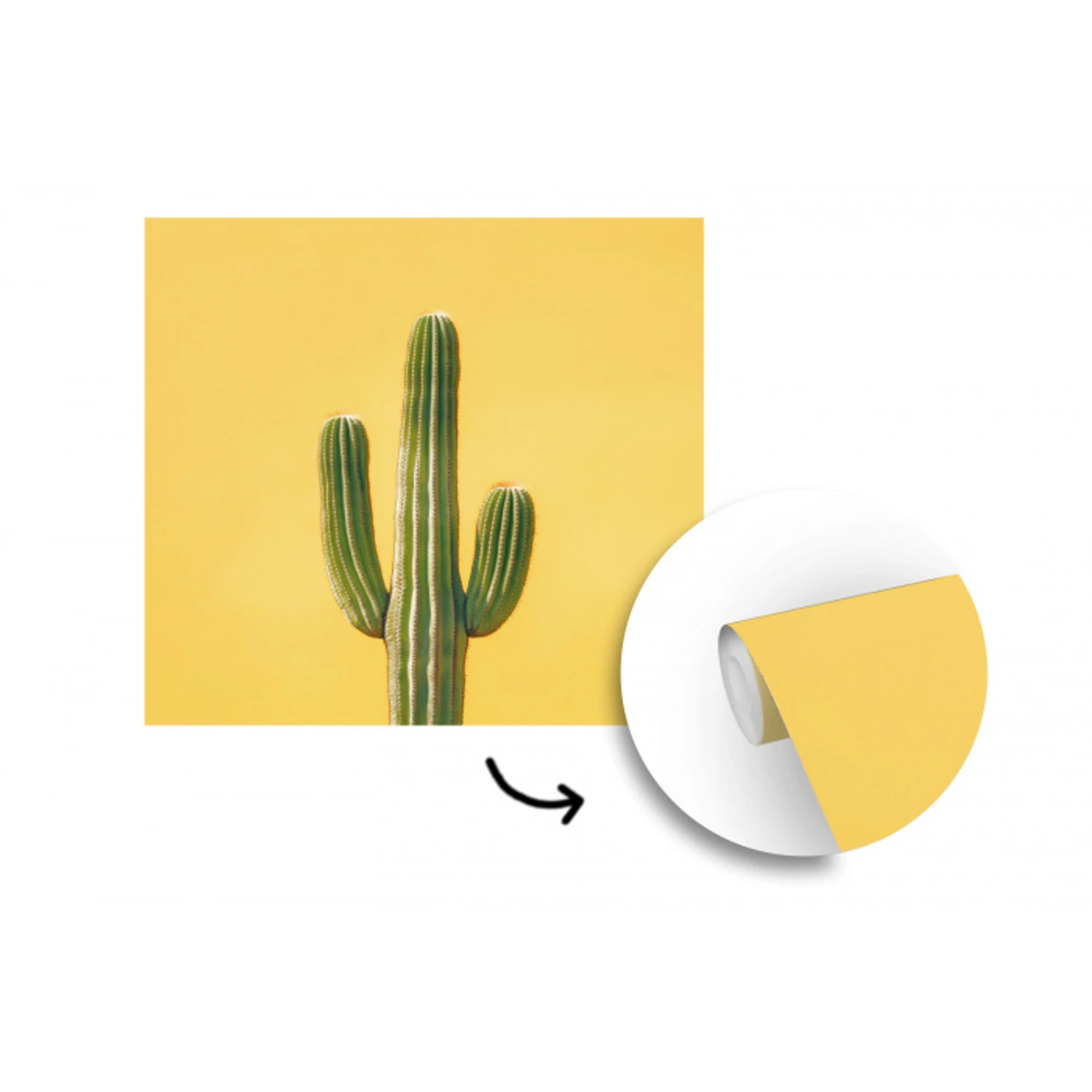 Cactus - Groen - Minimalistisch fotobehang vinyl groot -3d