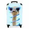 Sierk Struisvogel Blauw Koffer - NBS - Handbagage middel -productfoto_recht