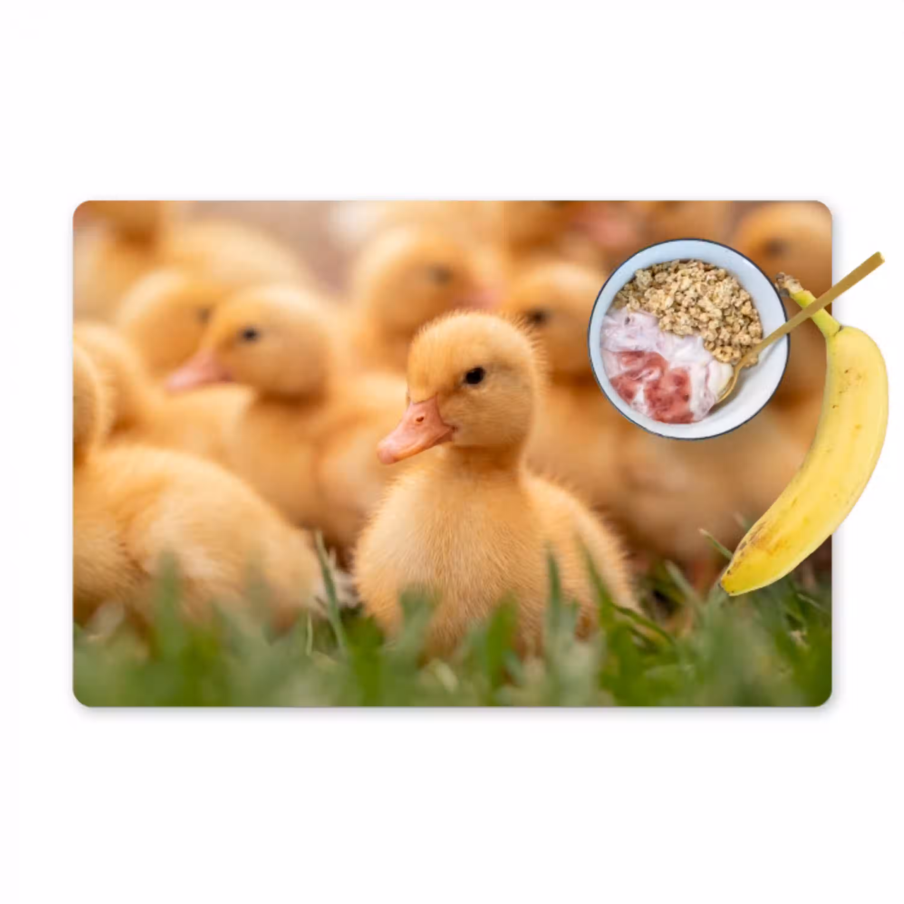 Pijltje - Eend - Natuur - Geel Placemat vinyl groot -zzzproduct_Kitchenyeah-website