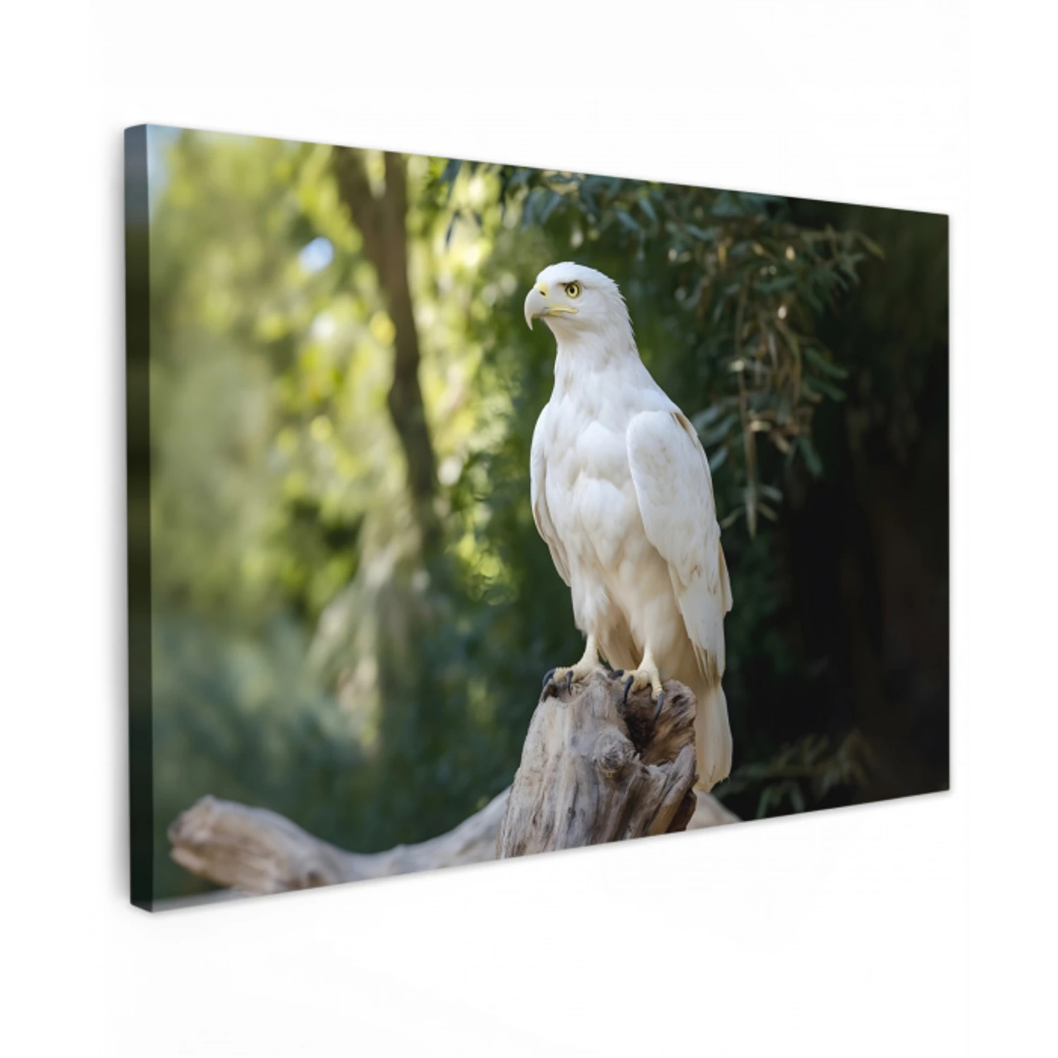 Arend - Hout - Wit - Planten Tuinposter op houten frame 2 cm dik klein -3d