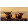 Schotse hooglanders - Heide - Landschap - Dieren Balkonbeschermer Duitsland klein -zz_3d