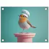 Roodborstje - Vogel - Koksmuts - Sokkel tuinposter los doek klein -3d