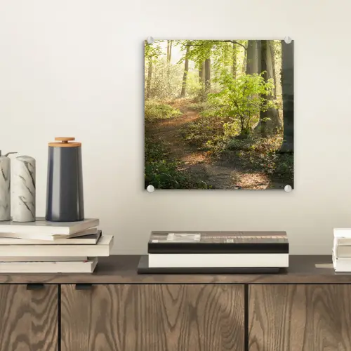 Bos - Bomen - Pad - Zon - Planten - Bladeren - Natuur plexiglas 5mm klein -sfeer1