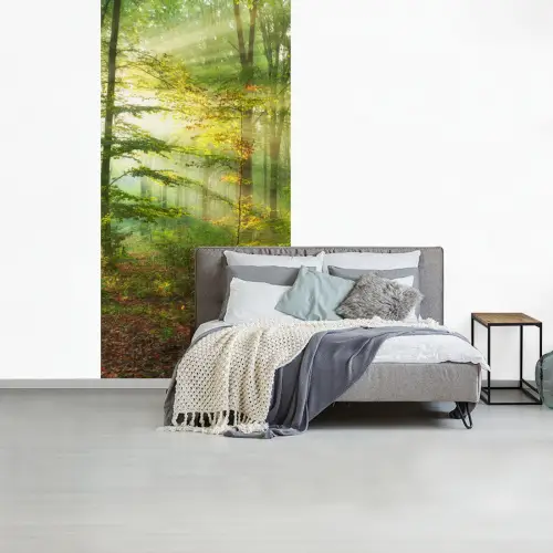 Zon - Bos - boom - Natuur - Herfst fotobehang vinyl groot -slaapkamer