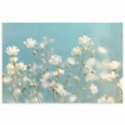 Stengels - Bloemen - Lucht - Wit poster papier klein -3d