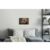 Schotse hooglander - Krant - Toilet Muursticker klein -slaapkamer