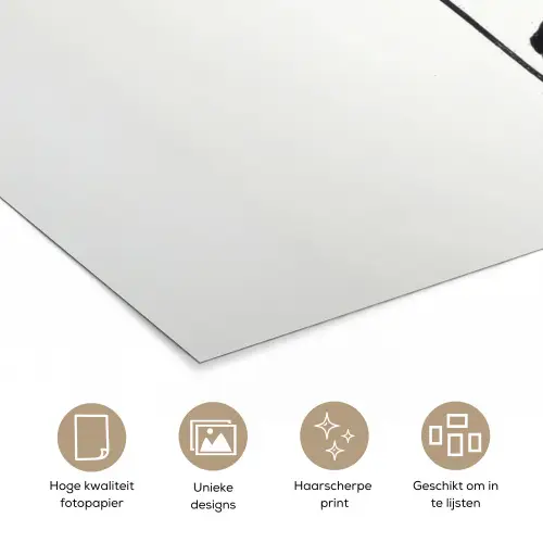 Bladeren - Zwart - Lotusbloem - Minimalitisch poster papier klein -closeup_NL