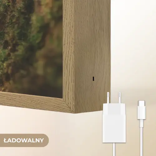 Aap - Boomstronk - Bruin Light Box met batterij (Wandlamp kind) middel -USP_websiteoplaadbaarNL