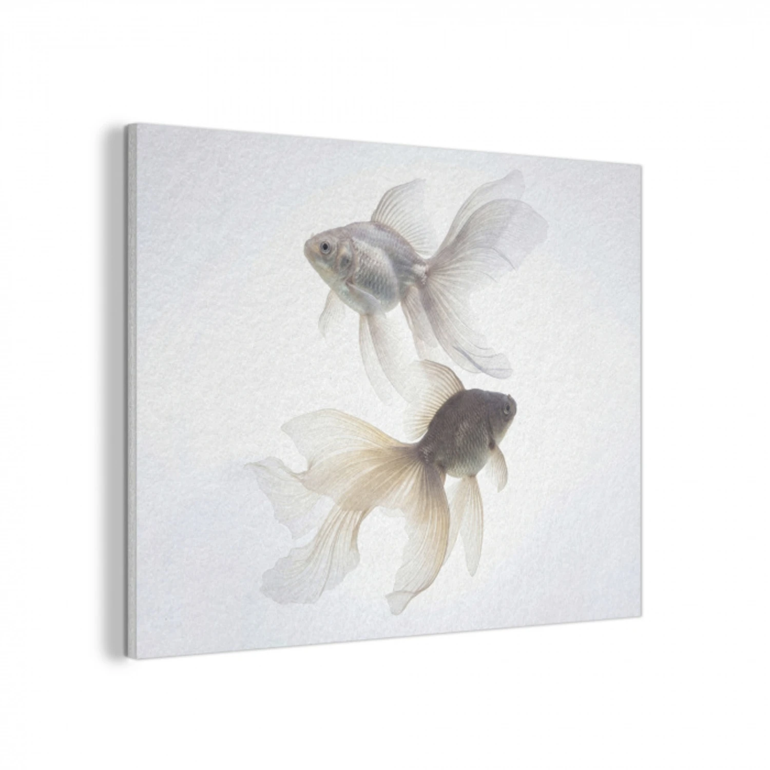 Goudvissen - Modern - Wit PET vilt klein -3d
