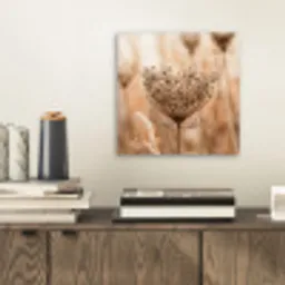 Schermbloem - Droogbloem - Winter - Beige - Minimalistisch aluminium wit klein -sfeer1