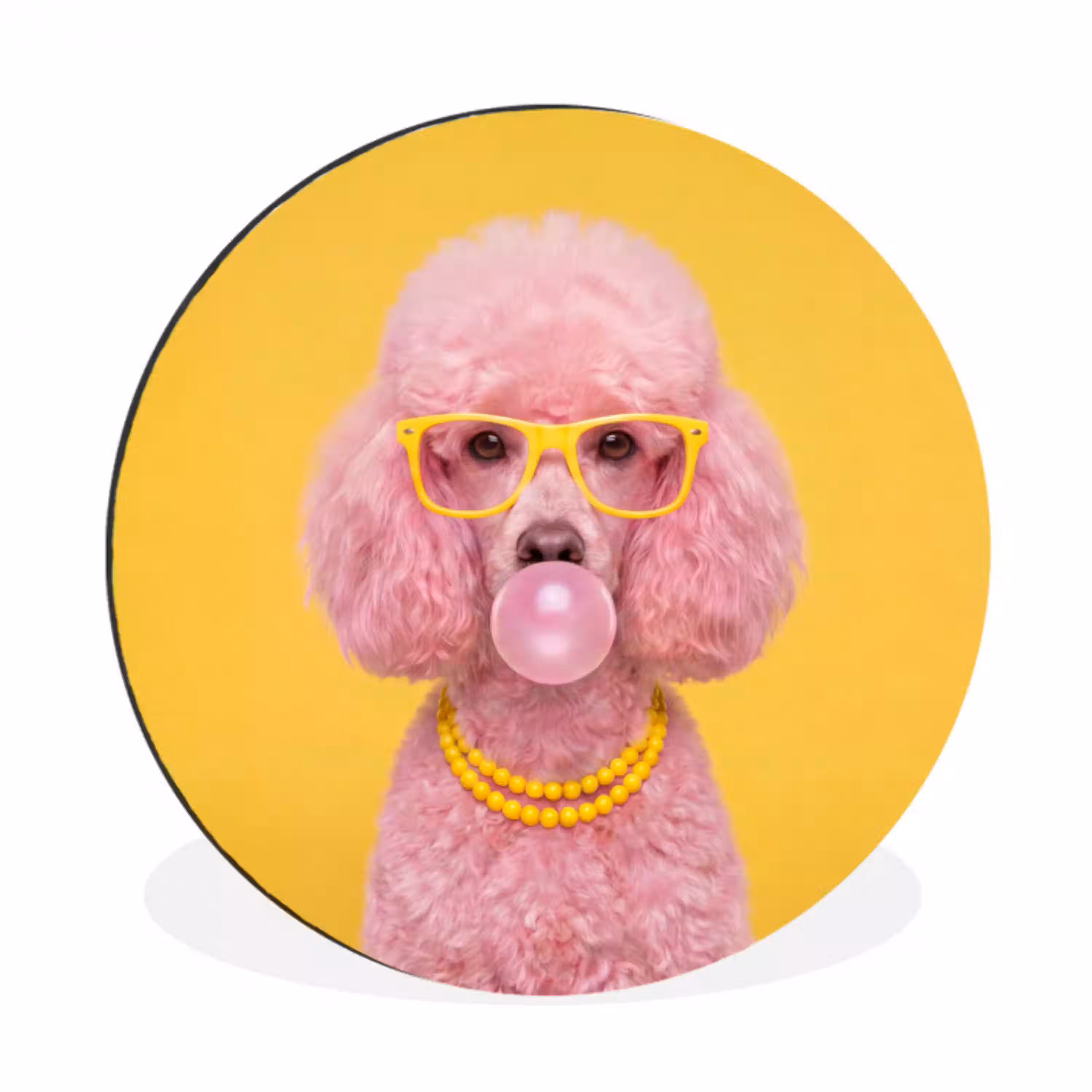 Hond - Kauwgum - Dieren - Modern - Roze Wandcirkel aluminium klein -3d