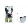 Koe - Weiland - Natuur - Dieren - Gras fotobehang vinyl groot -3d