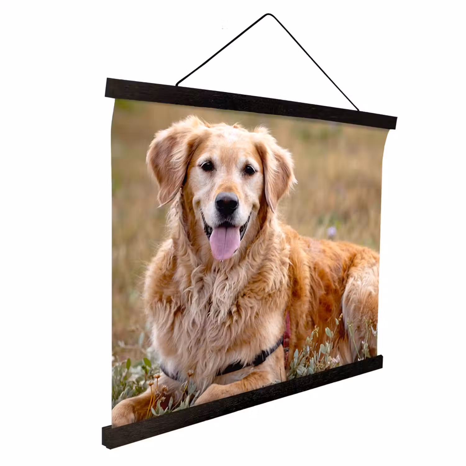 Photo on Hanging Poster