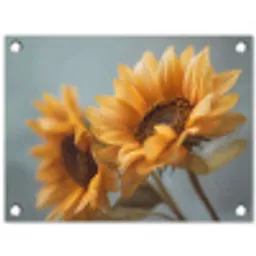 Zonnebloemen - Geel - Wazig tuinposter los doek klein -3d