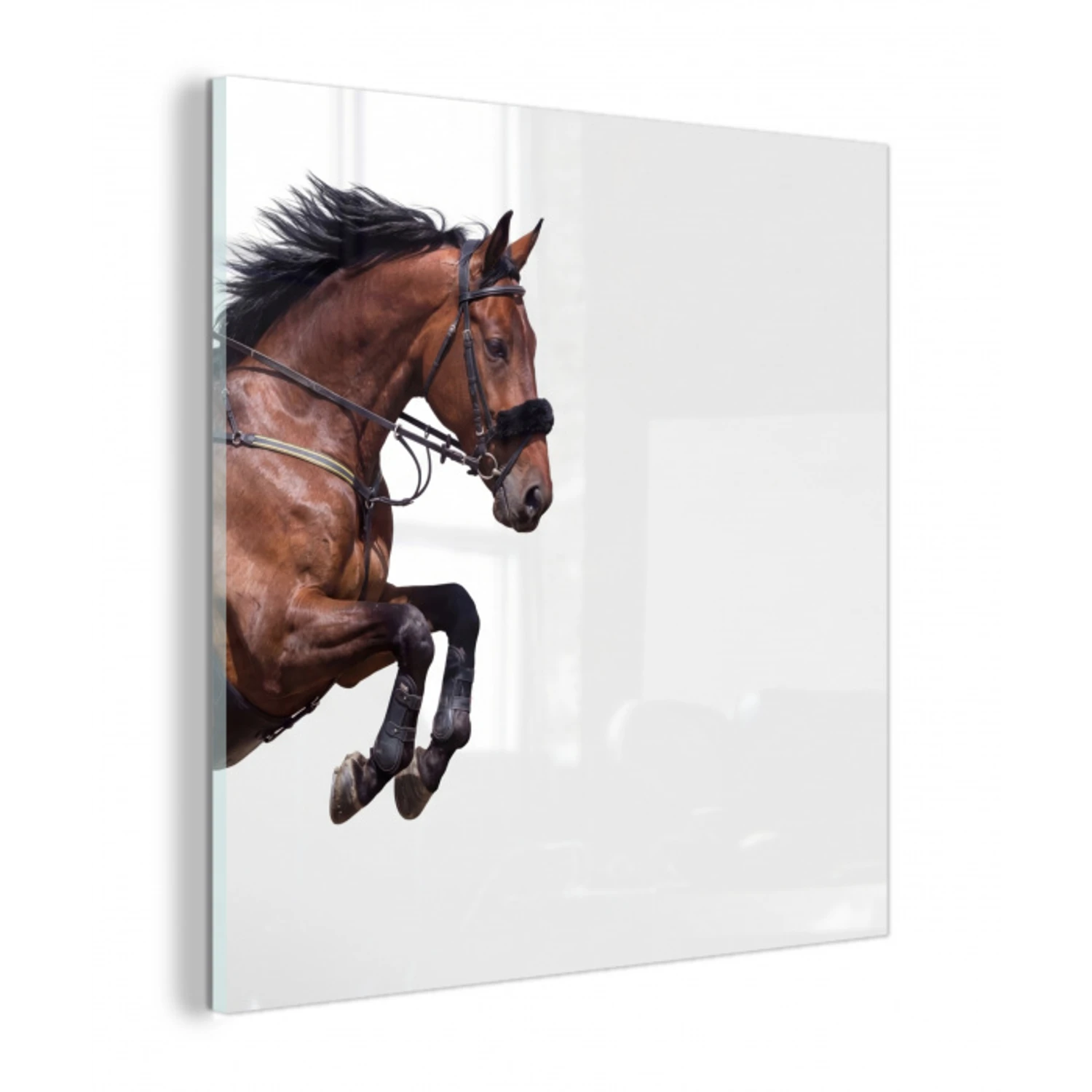 Paard - Springen - Modern plexiglas 5mm klein -z3d
