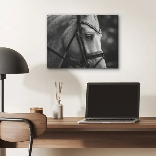 Paard - Schimmel - Portret PET vilt klein -sfeer5