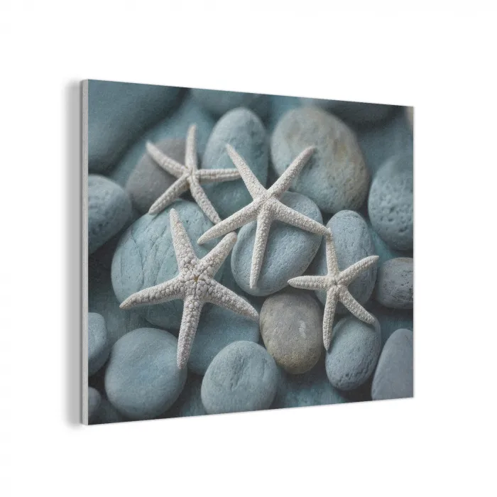 Zeesterren - Stenen - Wit PET vilt klein -3d
