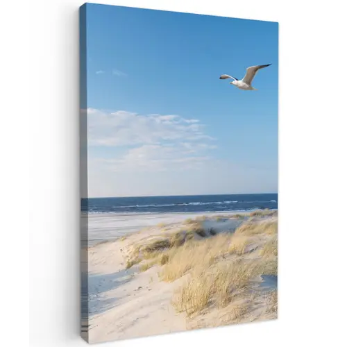 Mooie Strandvlucht Tuinposter op houten frame 2 cm dik klein -3d