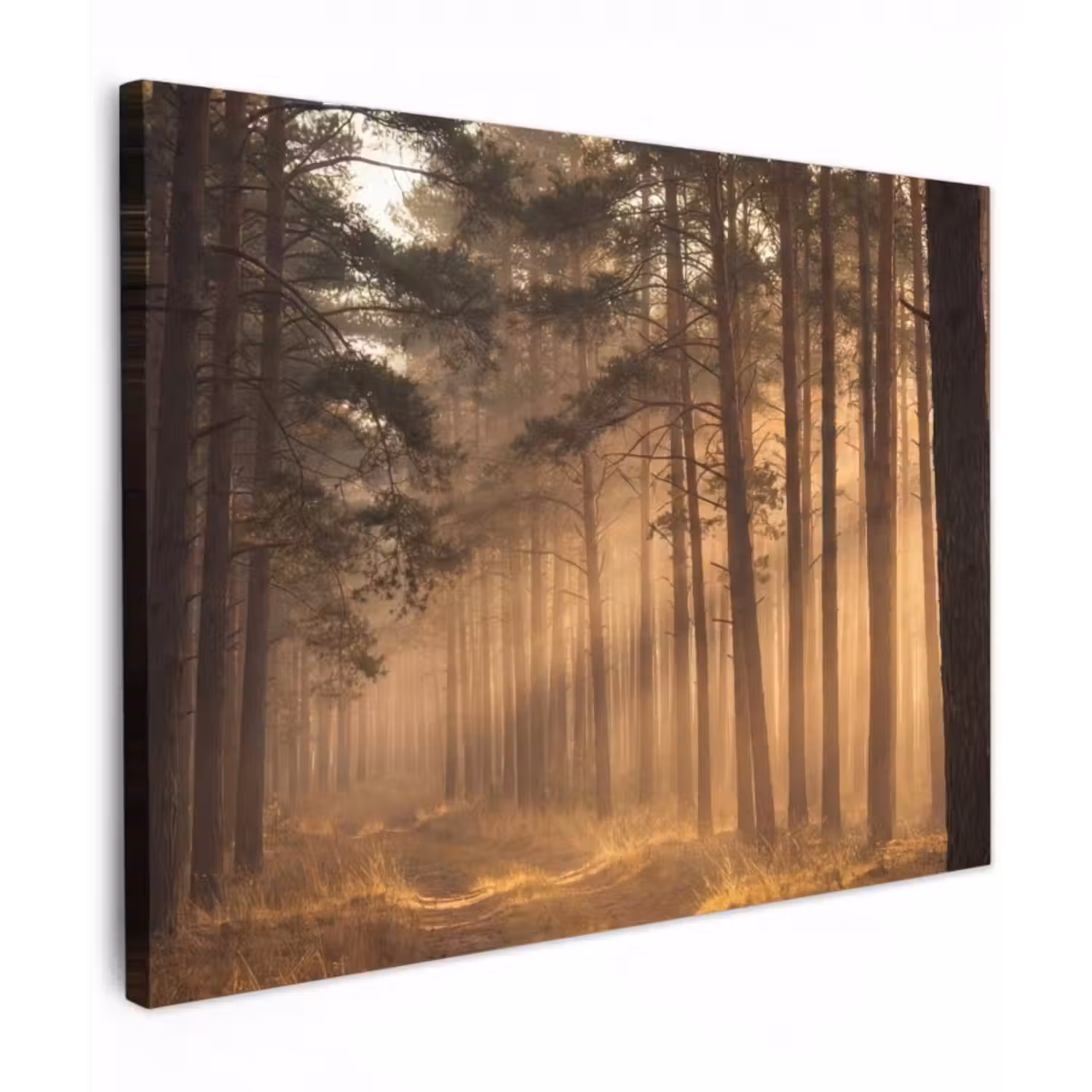 Leinwandbild - Wald - Nebel - Sonnenlicht